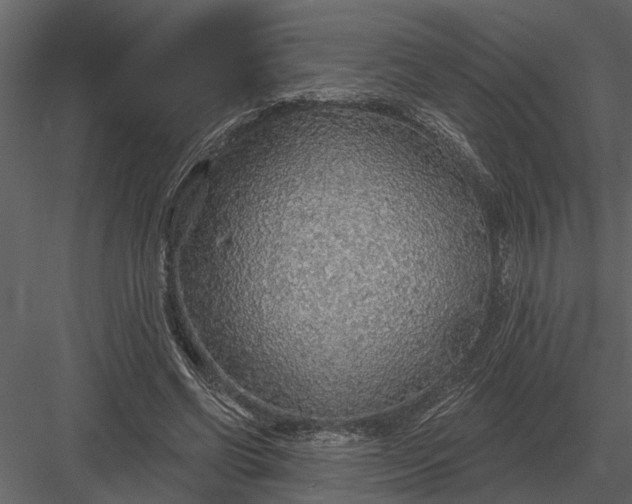 X0000083550542200702240114