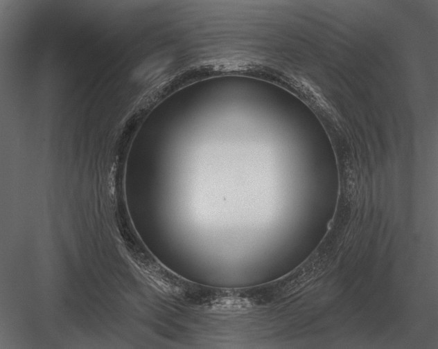 X0000083550543200702240114