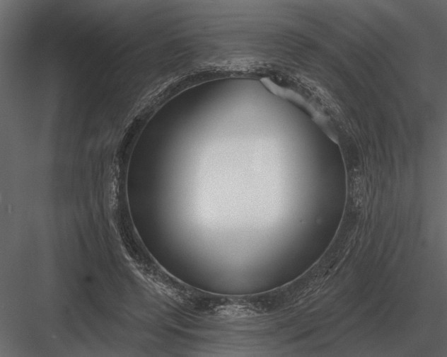 X0000083550544200702240114