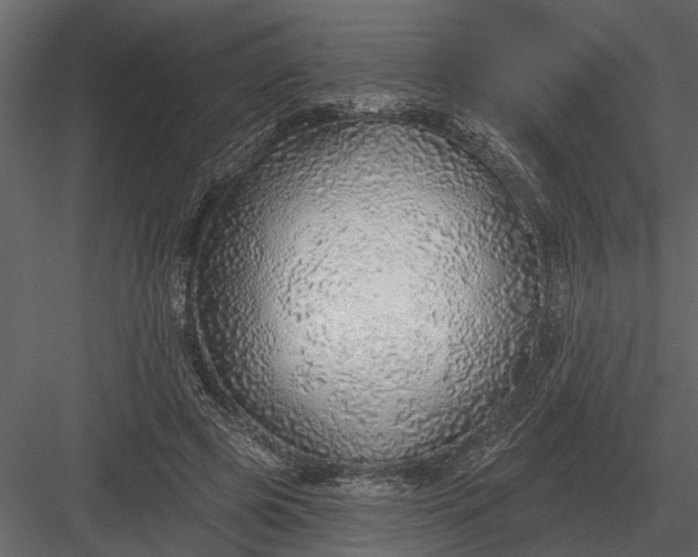 X0000083550545200702240114