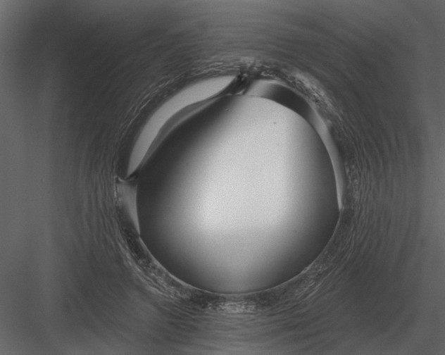 X0000083550546200702240114