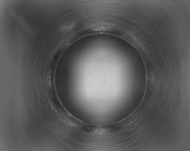 X0000083550547200702240114