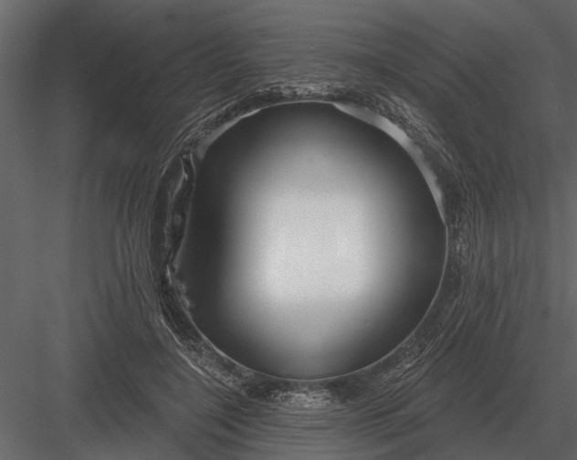 X0000083550548200702240114