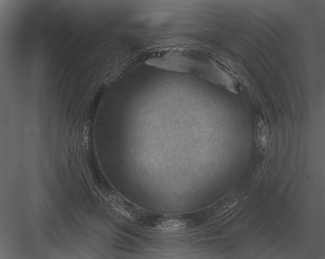 X0000083550551200702240114