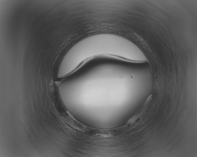 X0000083550552200702240114