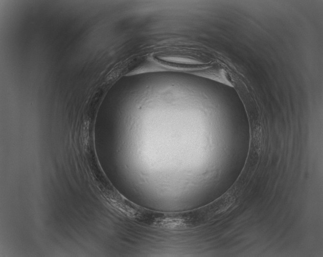 X0000083550554200702240114