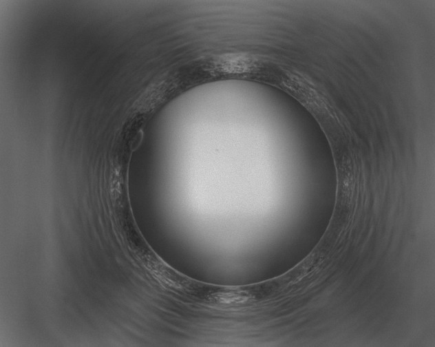 X0000083550555200702240114