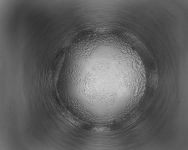 X0000083550557200702240114