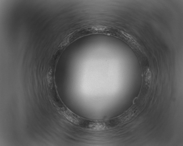 X0000083550559200702240114