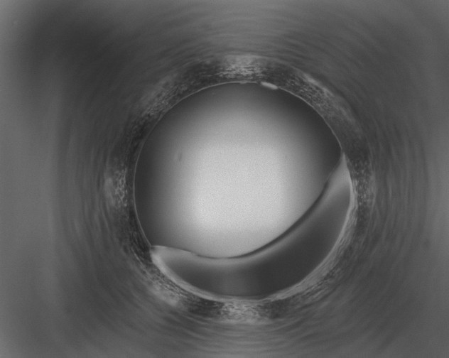 X0000083550560200702240114