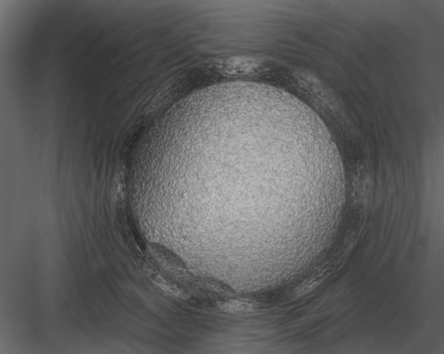 X0000083550561200702240114