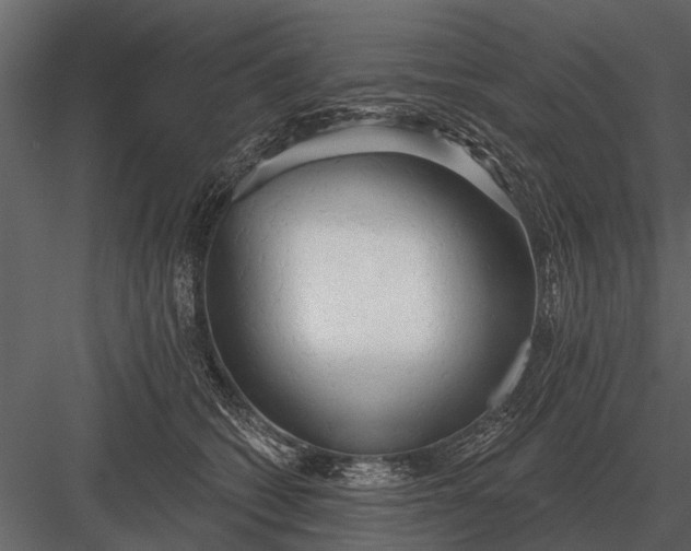 X0000083550562200702240114