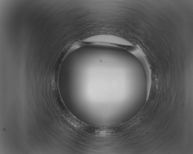 X0000083550564200702240114