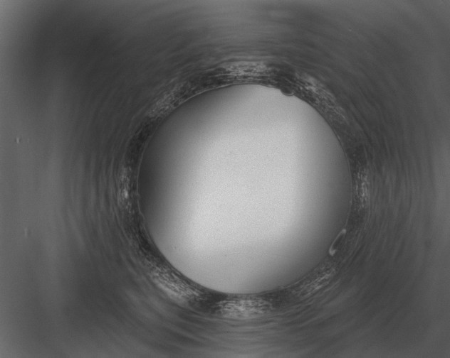 X0000083550567200702240114