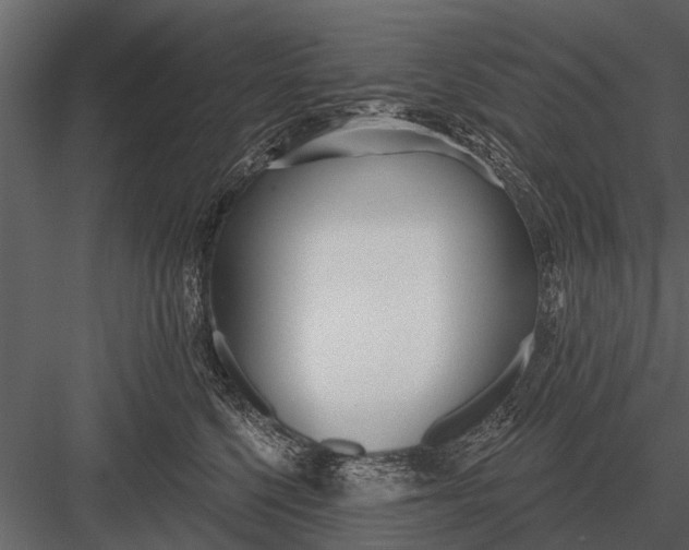 X0000083550568200702240114