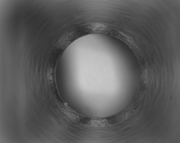 X0000083550571200702240114