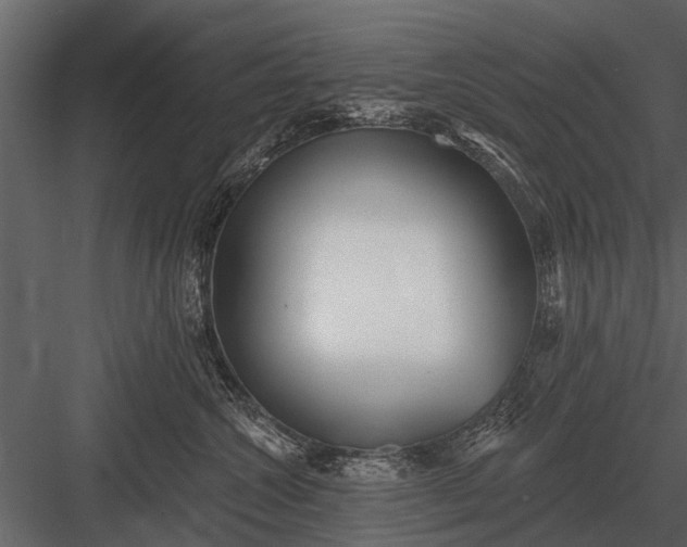 X0000083550572200702240114