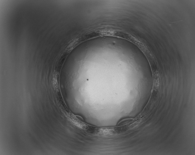 X0000083550573200702240114