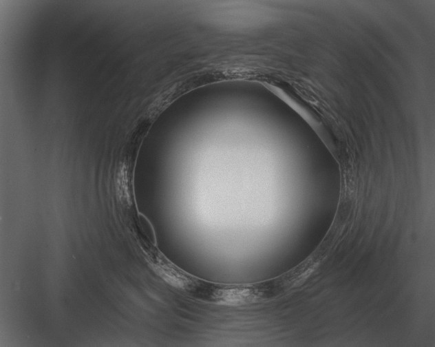 X0000083550575200702240114