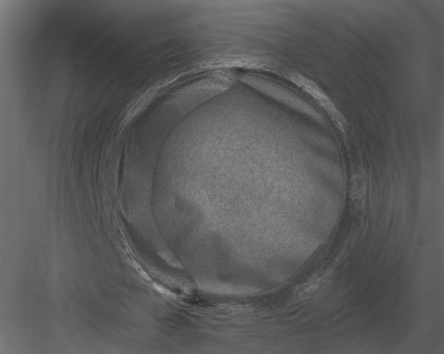 X0000083550577200702240113