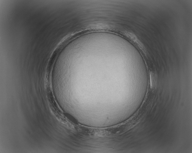 X0000083550579200702240113