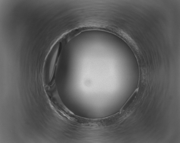 X0000083550580200702240113