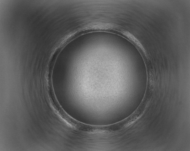 X0000083550581200702240113