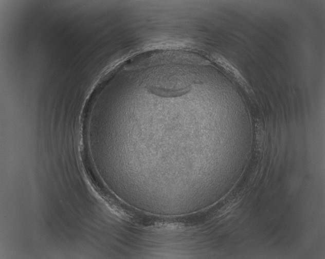 X0000083550582200702240113