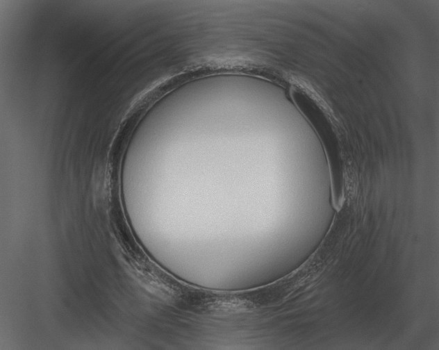 X0000083550583200702240113