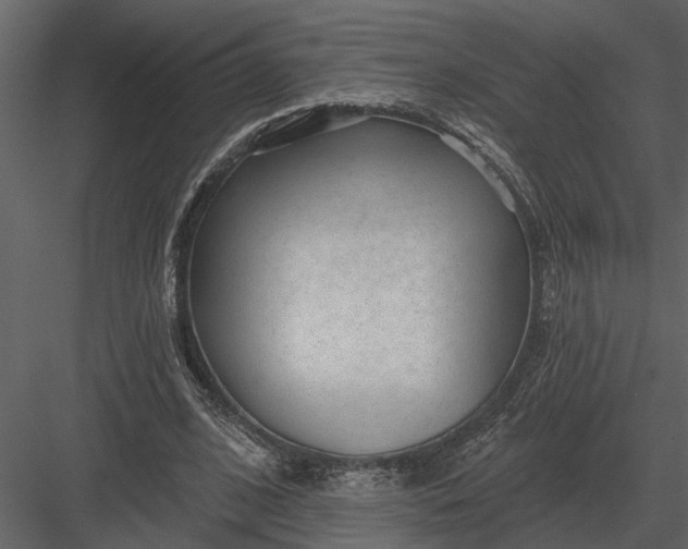X0000083550584200702240113