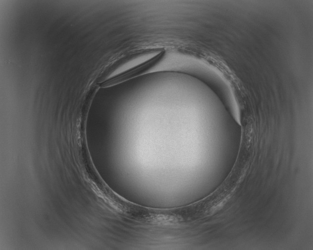 X0000083550585200702240113