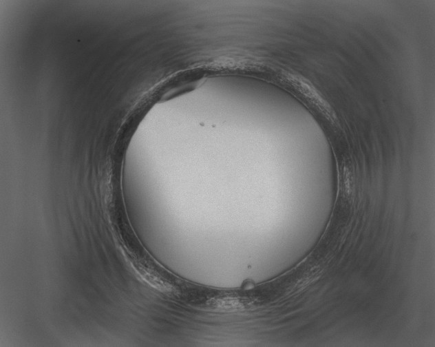X0000083550588200702240113