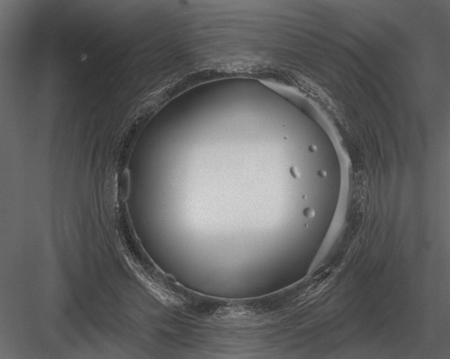 X0000083550589200702240113