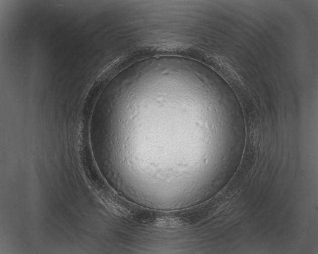 X0000083550591200702240113