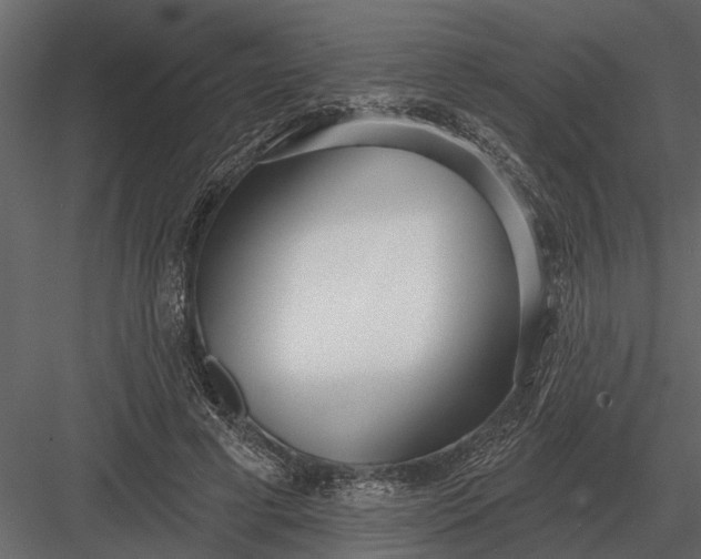 X0000083550593200702240113