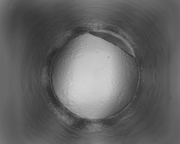 X0000083550594200702240113