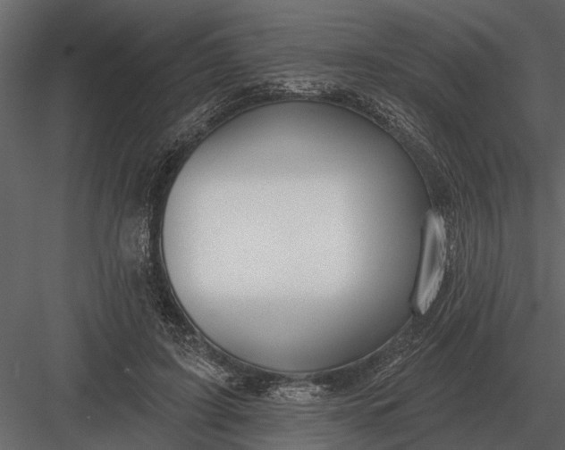 X0000083550595200702240113