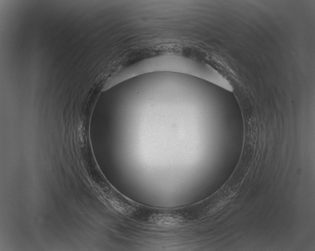 X0000083550597200702240113