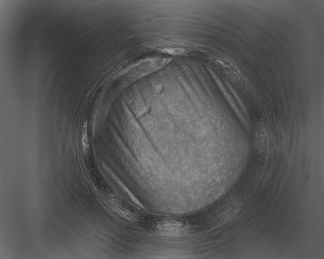 X0000083550598200702240113