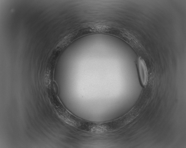 X0000083550599200702240113