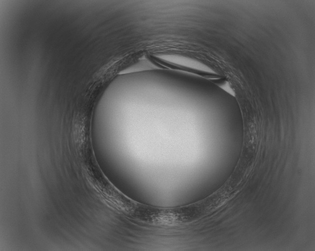 X0000083550600200702240113