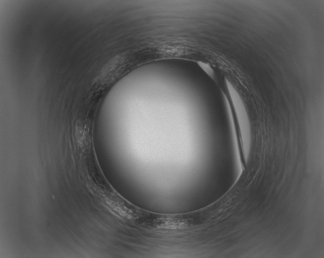 X0000083550601200702240113
