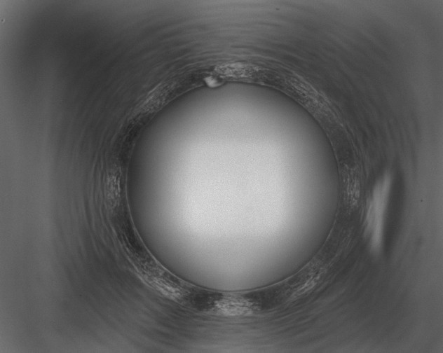 X0000083550603200702240113