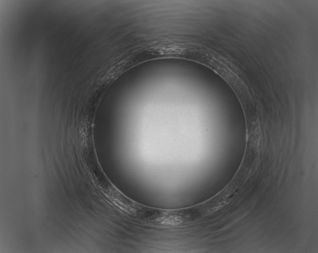 X0000083550604200702240113