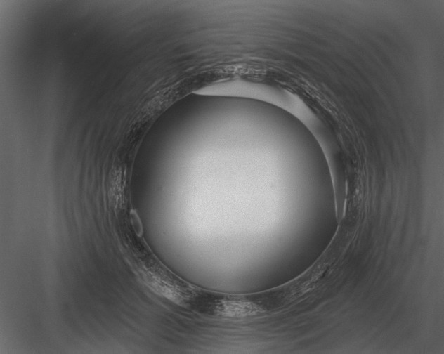 X0000083550605200702240113