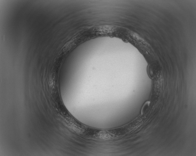 X0000083550608200702240113