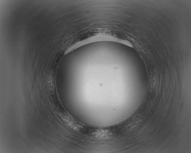 X0000083550609200702240113