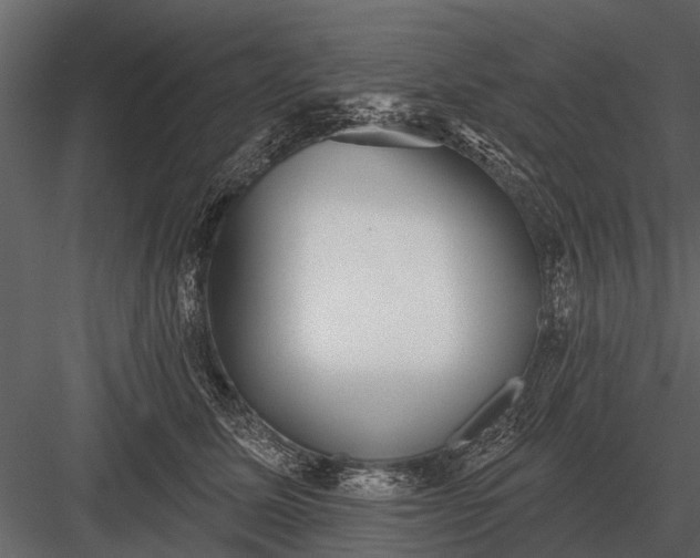 X0000083550611200702240113