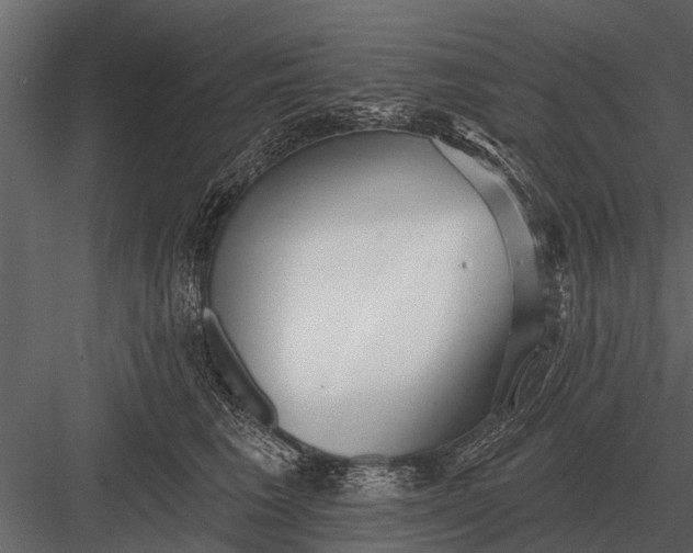 X0000083550613200702240113