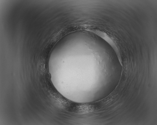 X0000083550615200702240113